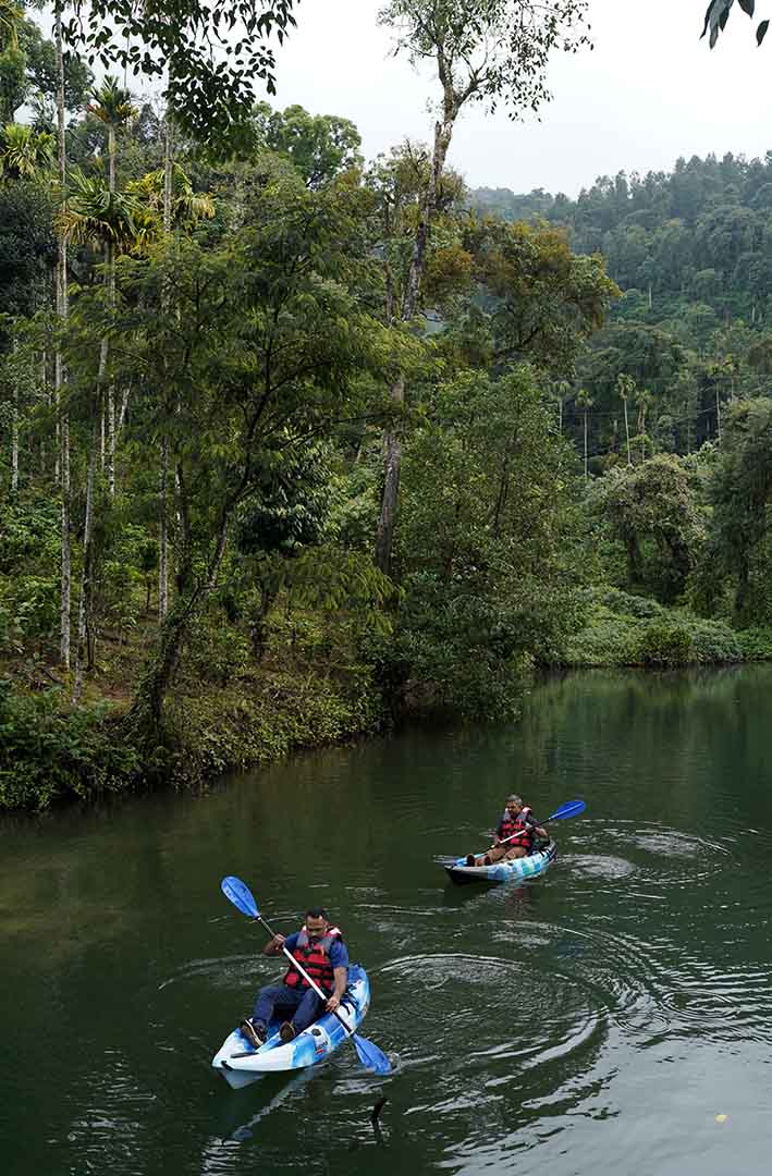 Kayaks